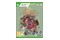 The Knight Witch Edycja Deluxe Xbox (One/Series X)