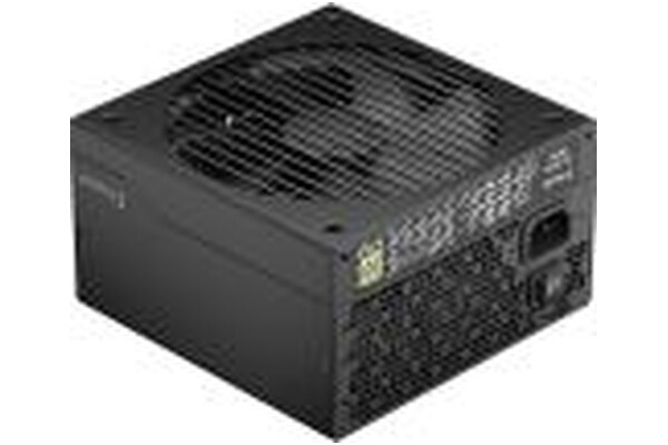 Fractal Design ION Black 750W ATX