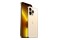 Smartfon Apple iPhone 13 Pro 5G złoty 6.1" 6GB/1000GB