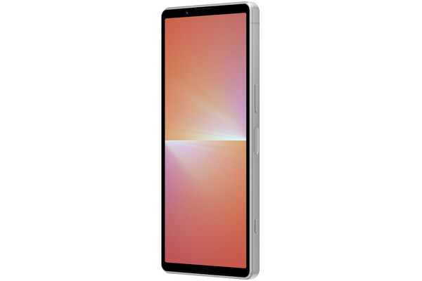 Smartfon Sony Xperia 5 V 5G platynowy 6.1" 8GB/128GB