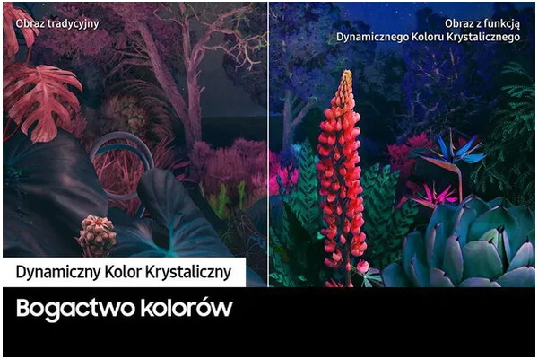 Telewizor Samsung UE43CU8002K 43" 4K Ultra HD