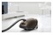 Odkurzacz MIELE Complete C3 Electro EcoLine tradycyjny workowy 550W brązowy