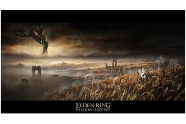 Elden Ring Shadow of the Erdtree Edycja Kolekcjonerska PlayStation 5