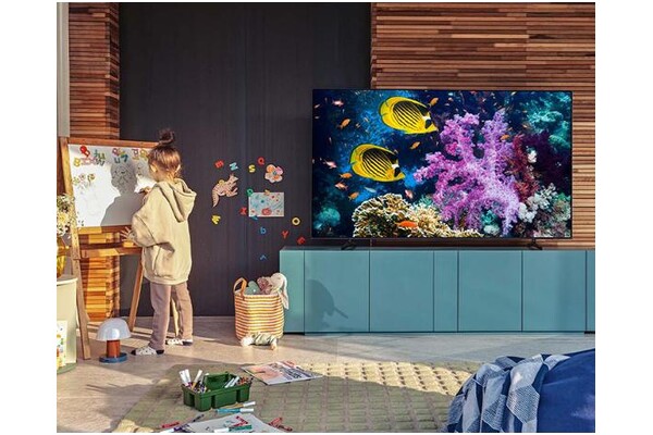 Telewizor Samsung QE43Q67AAUXXH 43" 4K Ultra HD QE43Q67AAU