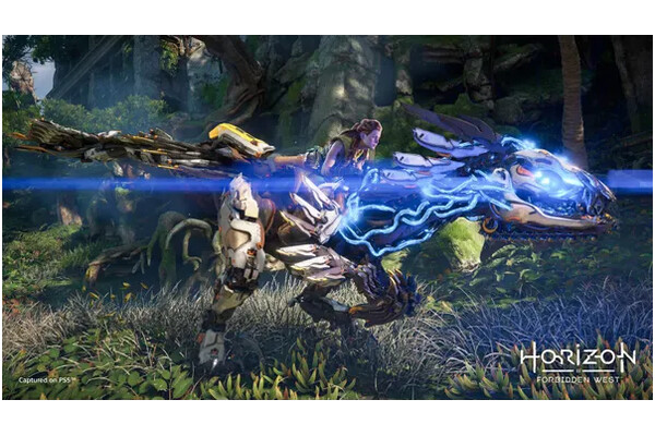 Horizon Forbidden West PlayStation 5