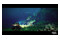 Under The Waves PlayStation 4