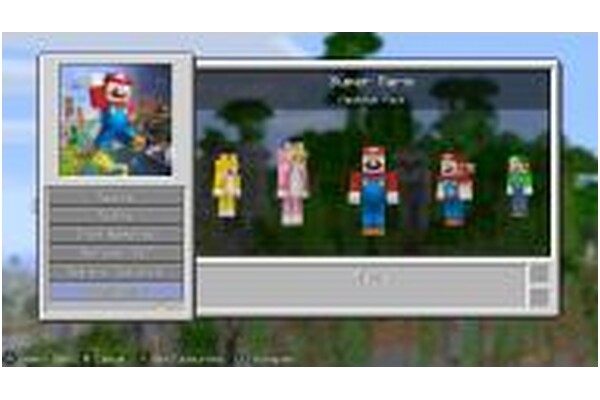 Minecraft Edition Nintendo Switch
