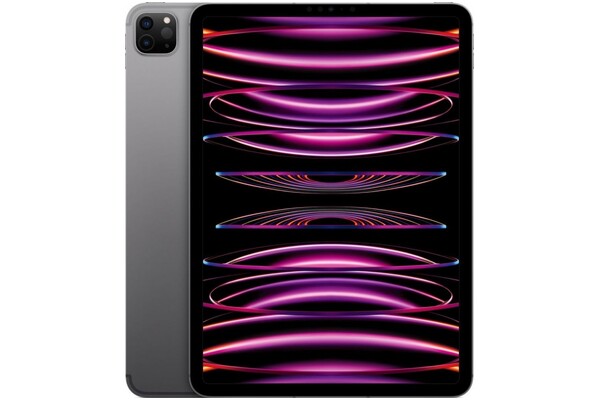 Tablet Apple iPad Pro 11" Apple M2 8GB/1024GB, szary