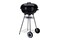 grill ogrodowy BBQ Line Rex