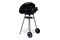 grill ogrodowy BBQ Line Rex