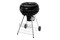 Grill węglowy Fieldmann FZG1004