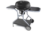 Grill węglowy Fieldmann FZG1014