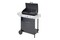 Grill gazowy Campingaz Xpert 200 L Vario palniki 2szt moc 7.1kW