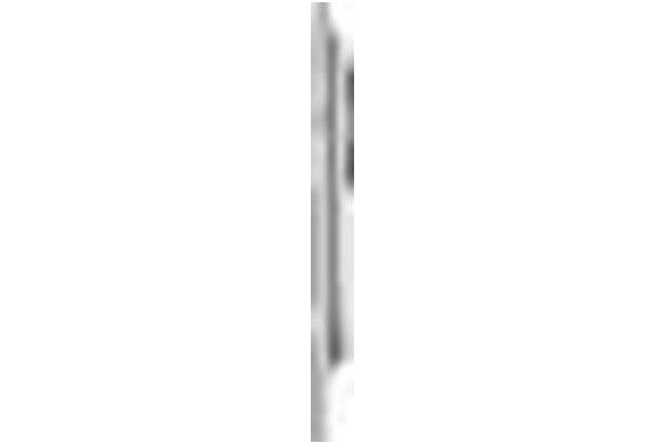 Tablet Apple iPad Pro 13" Apple M4 16GB/1024GB, WiFi, srebrny