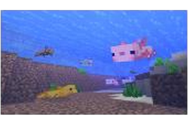 Minecraft Deluxe Collection 15 Rocznica , Xbox (One/Series X)