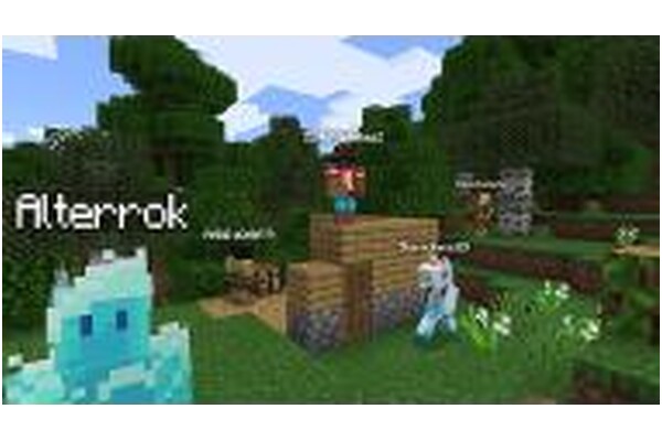 Minecraft Java & Bedrock Edition 15 Rocznica PC