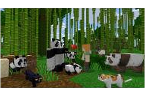 Minecraft Java & Bedrock Edition 15 Rocznica PC