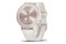 Smartwatch Garmin Vivomove Sport 0.25" biały