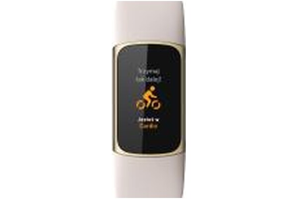 Smartwatch FITBIT Charge 5 1.04" szary