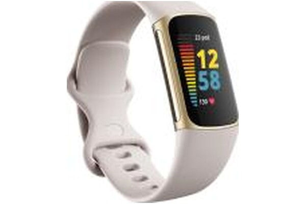 Smartwatch FITBIT Charge 5 1.04" szary