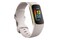 Smartwatch FITBIT Charge 5 1.04" szary