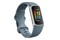 Smartwatch FITBIT Charge 5 1.04" niebiesko-platynowy