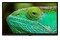 Telewizor Lenco LED3263BK 32" HD Ready