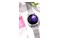 Smartwatch Gino Rossi BF23C 1.04" srebrny