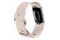 Smartwatch FITBIT Charge 6