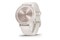 Smartwatch Garmin Vivomove Sport beżowy