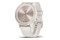 Smartwatch Garmin Vivomove Sport 0.73" biały