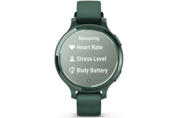 Smartwatch Garmin Lily 2