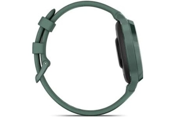 Smartwatch Garmin Lily 2