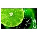 Monitor 48.5" NEC MuktiSync E498 czarny