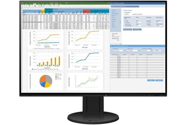 Monitor 24.1" EIZO FlexScan EV2457 czarny