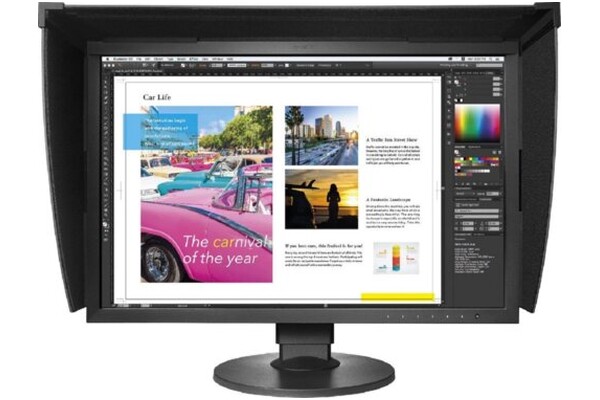 Monitor 24.1" EIZO ColorEdge CG2420 czarny