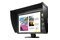 Monitor 24.1" EIZO ColorEdge CG2420 czarny