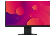 Monitor 23.8" EIZO FlexScan EV2460 czarny