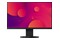 Monitor 23.8" EIZO FlexScan EV2460 czarny