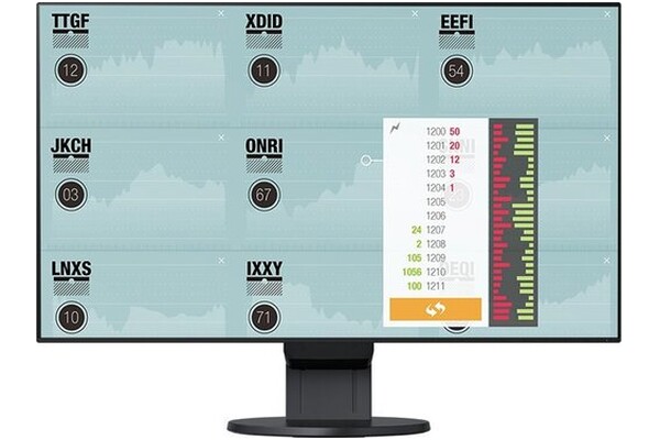 Monitor 23.8" EIZO FlexScan EV2451 czarny