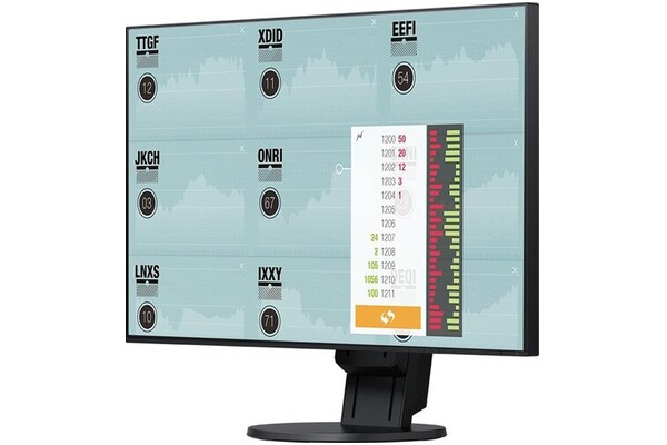 Monitor 23.8" EIZO FlexScan EV2451 czarny