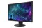 Monitor 24.1" EIZO ColorEdge CS2400R czarny