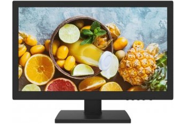 Monitor 18.5" Hikvision DS-D5019QE czarny