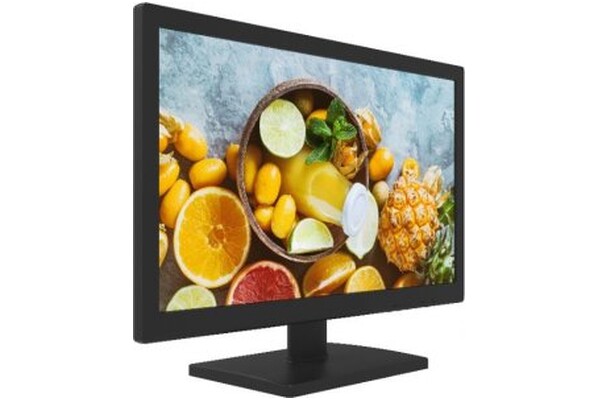 Monitor 18.5" Hikvision DS-D5019QE czarny