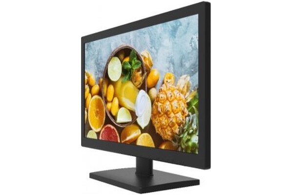 Monitor 18.5" Hikvision DS-D5019QE czarny