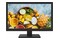 Monitor 18.5" Hikvision DS-D5019QE czarny