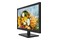Monitor 18.5" Hikvision DS-D5019QE czarny