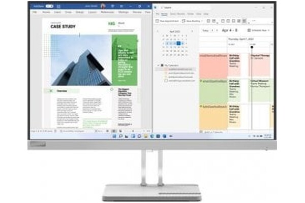 Monitor 24.5" Lenovo L25e-40 srebrny