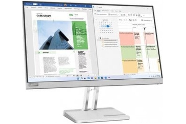Monitor 24.5" Lenovo L25e-40 srebrny