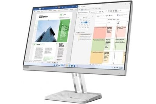 Monitor 24.5" Lenovo L25e-40 srebrny